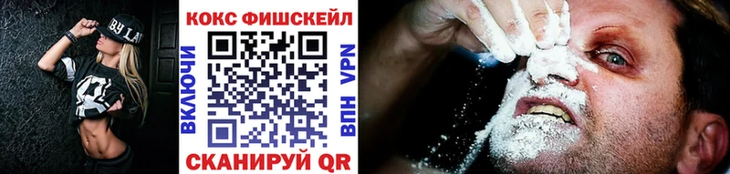 COCAIN FishScale  Купить закладки  Мыски 
