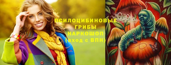 PSILOCYBIN Балабаново