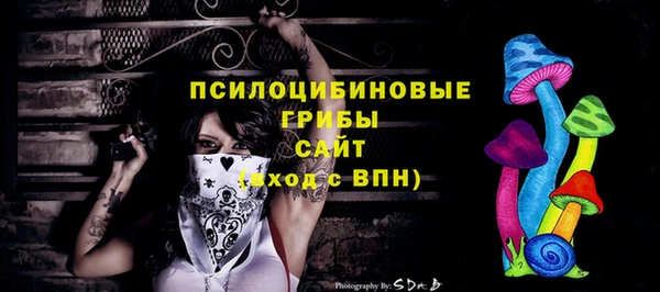 PSILOCYBIN Балабаново